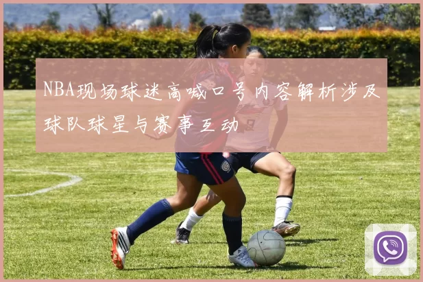 NBA现场球迷高喊口号内容解析涉及球队球星与赛事互动