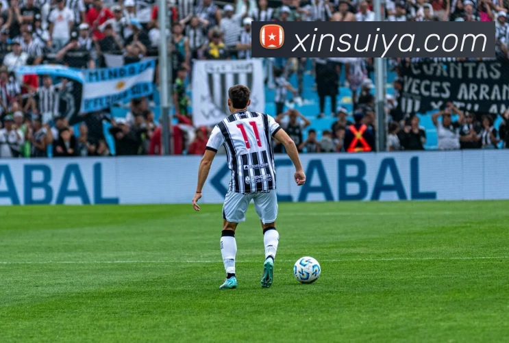 必一运动体育app官网平台生态图