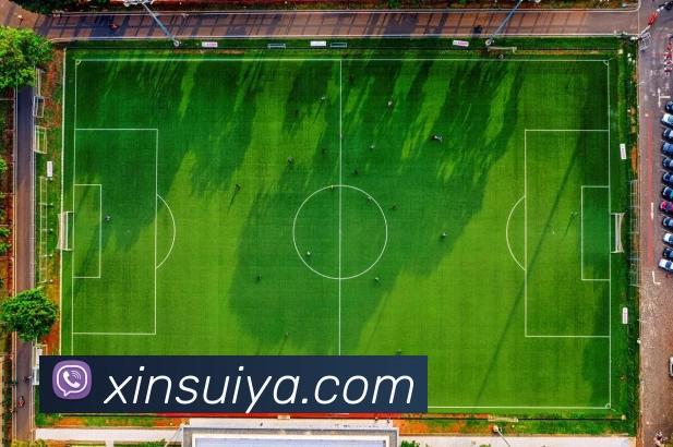 必一运动体育app官网APP 封面图